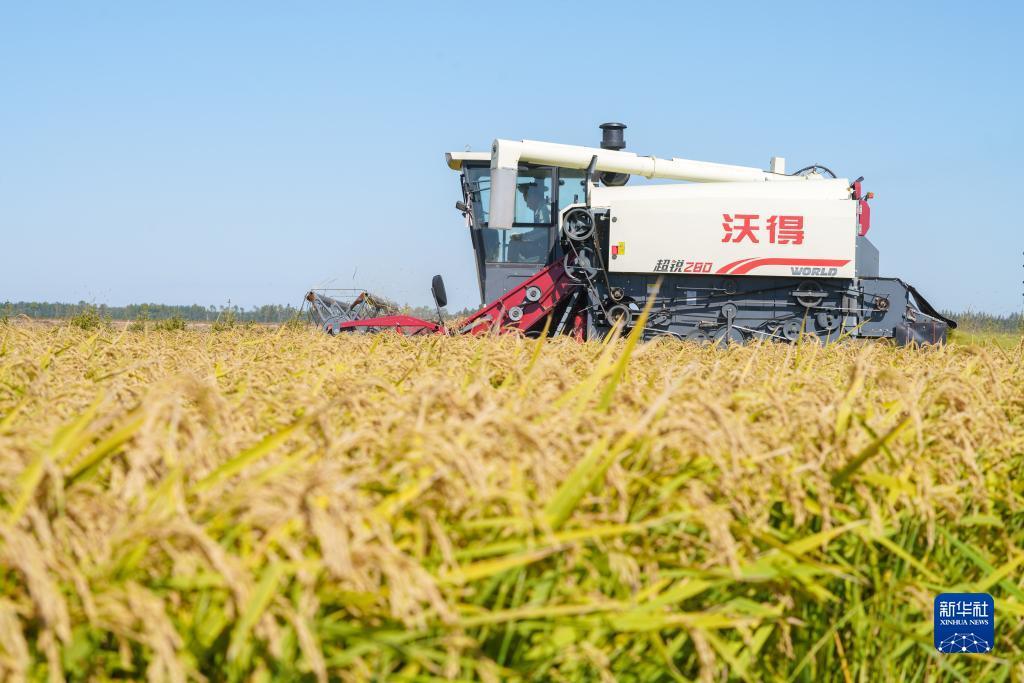 明升赌场